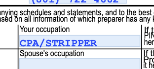 I always forget that I put this as my occupation on my own tax return, and every year when my tax software pulls it up, it makes me very happy. Plus, what's the worst that can happen? (But really #TaxTwitter, what's the worst that can happen?) #tax #taxes #TapPrep #CPA #CPAlife