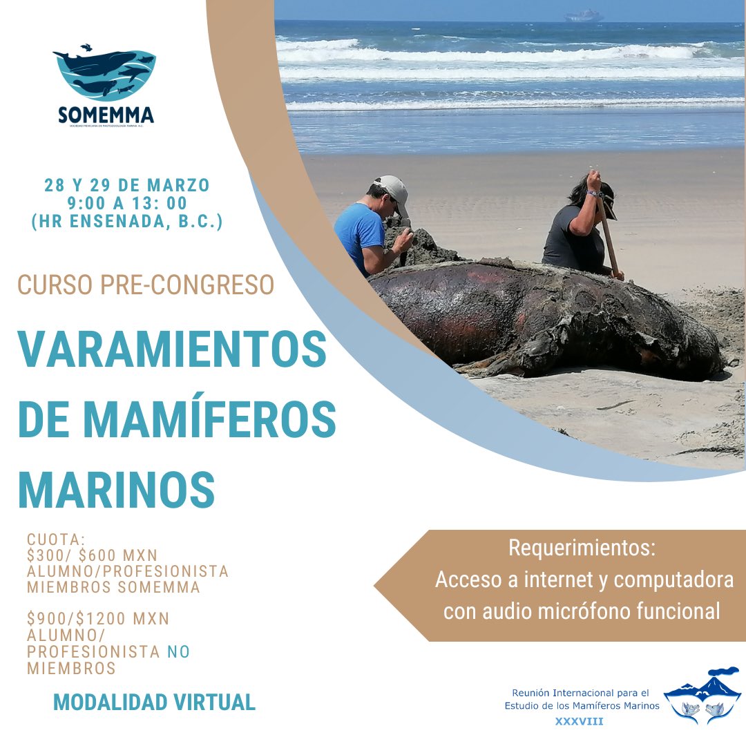 SOMEMMA1's tweet photo. Si estás interesado en conocer más sobre varamientos no te puedes perder nuestro próximo curso virtual, regístrate para no quedarte fuera! https://t.co/aXd7NC1PHr https://t.co/XwD4vZFYgz