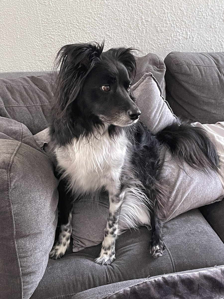 Maffeine (@maffeinetv) on Twitter photo 