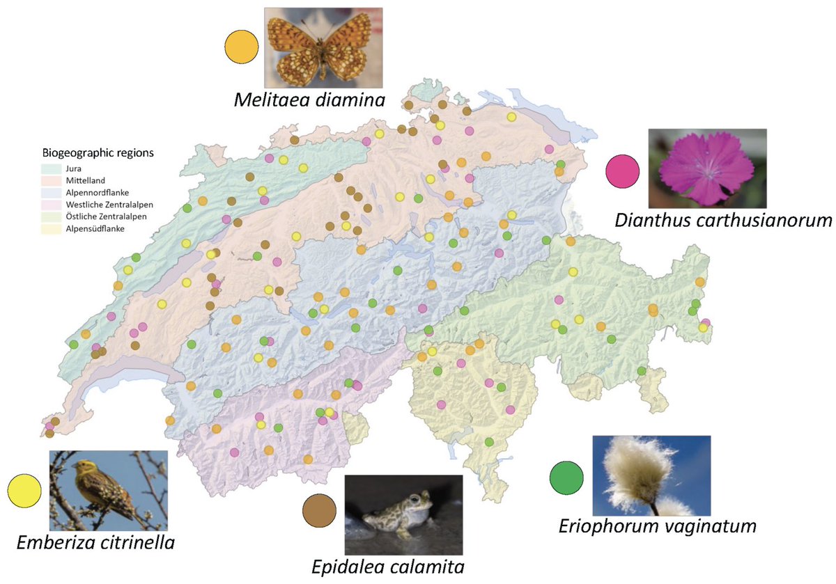 Martin C. Fischer tweet media