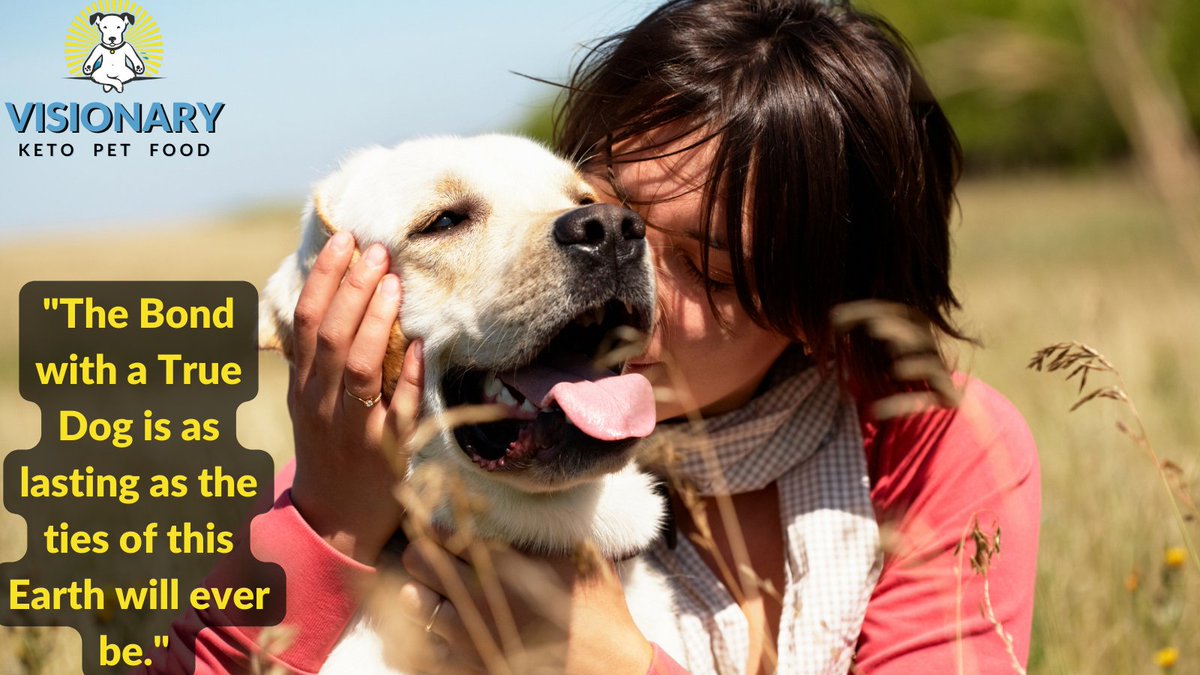VisionaryPet's tweet photo. "Nothing beats the love of a dog - it's a bond like no other!๐พ๐ถโค๏ธ"
#DogLove #VisionaryPet #HealthyPets #DogBond #BondingWithMyDog #PuppyBonding #DogsAreFamily #DoggyTime #DogFriendly #DogActivities #DogRelationship #DogConnection #PuppyLove #DogPlaytime #CanineBonding #DogCompanionship #DogLove #DogLife #DogTime #PawfectBond #DoggyBondingMoments #BondingGoal