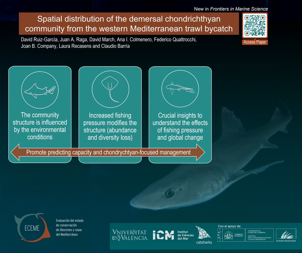 🚨New Open Access paper alert🚨

#SpatialDistribution analyses of the chondrichthyan community in the western Mediterranean find that the community is influenced by environmental and fishing pressure drivers.

#OpenAccess at: bit.ly/ChondCommunity…

#Mediterranean #Management