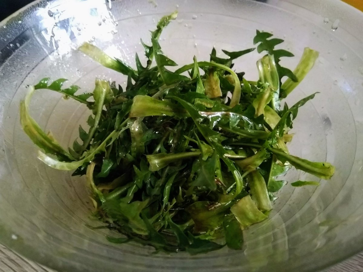 miha_simnovec's tweet photo. The season for dandelion is open 😋
#regrat #dandelion #salad #solata #salat #loewenzahn #voikukka #kukka #food #hrana #nature #luonto #salaatti #ruokaa #narava https://t.co/9ncDTlFWUM