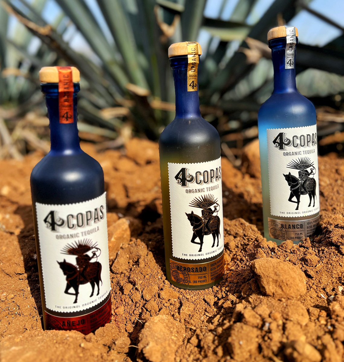4 Copas Tequila tweet media