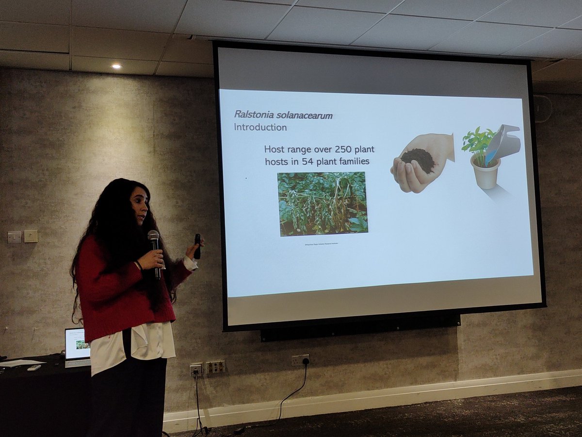 Presentation of the Ralstonia Phage Therapy project by Sara Franco Ortega. #BPDProjects