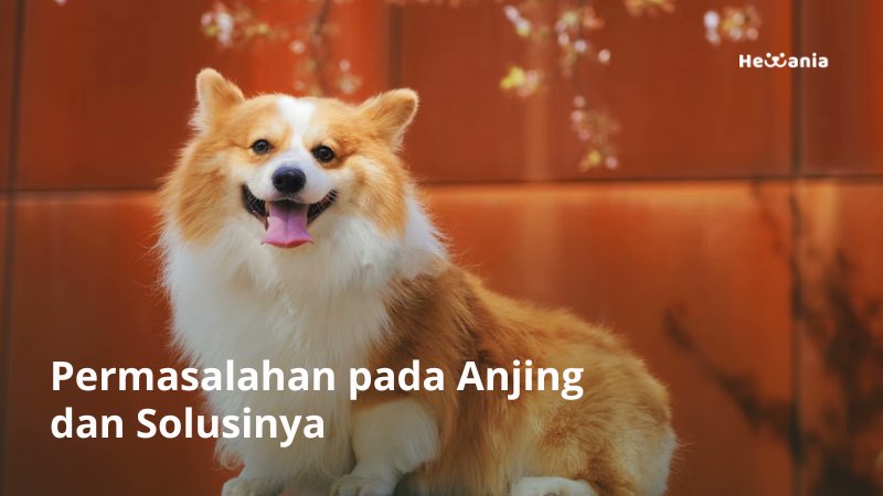 rcretorika's tweet photo. Read my latest article at hewania apps!

Permasalahan pada Anjing dan Solusinya https://t.co/RAZ8Rqhrre https://t.co/4nVmyg4hHs