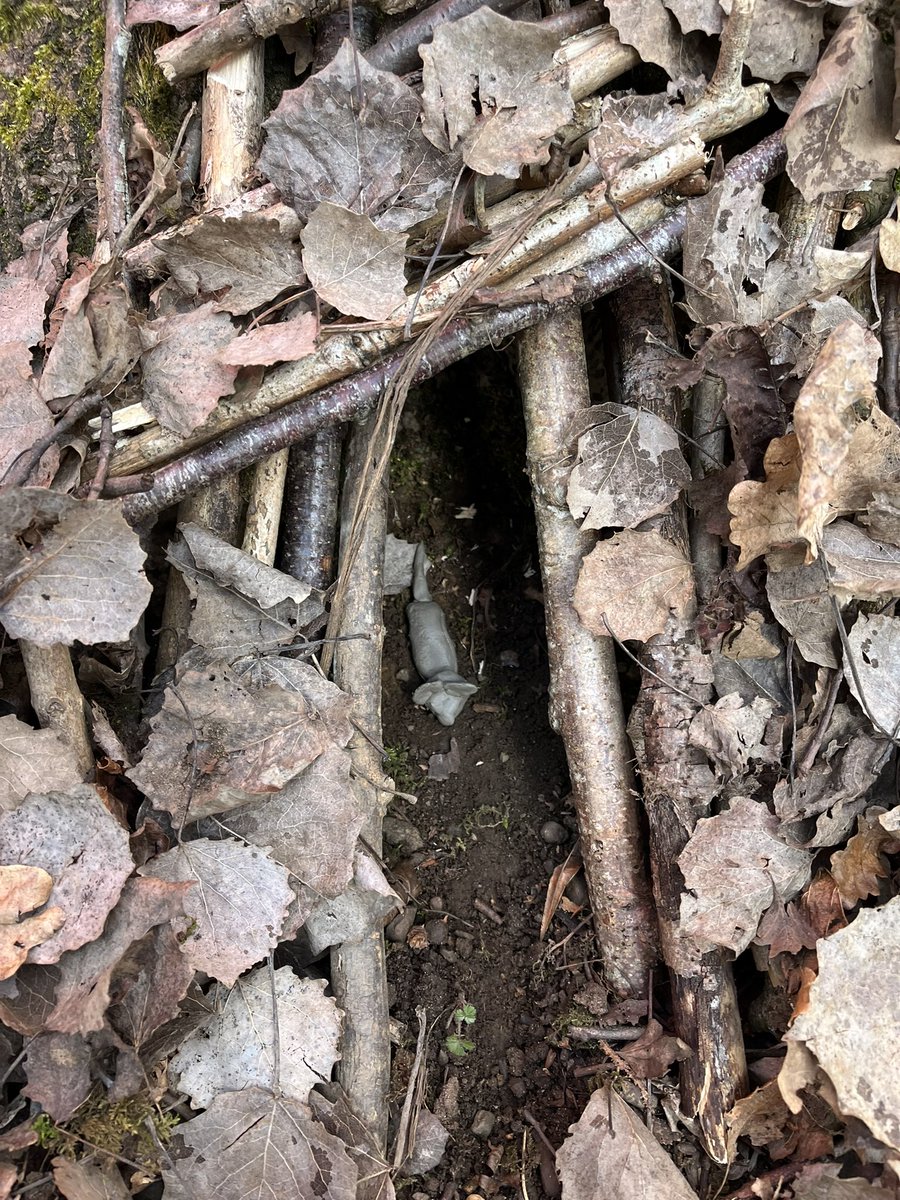 caroline tweet media