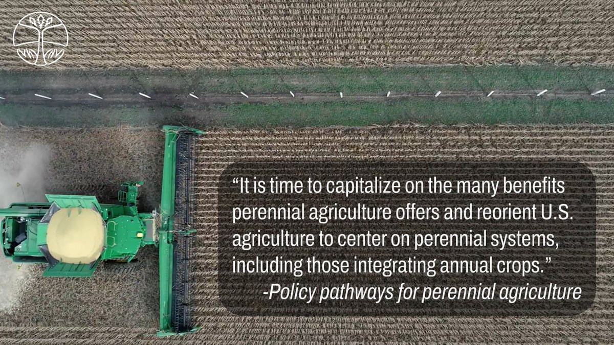 Savanna Institute's <a href="/FredIutzi/">Fred Iutzi</a> and collaborators recently published "Policy pathways for perennial agriculture" in Frontiers in Sustainable Food Systems. This article, which outlines policy pathways to support perennial agriculture, can be accessed at 
frontiersin.org/articles/10.33…