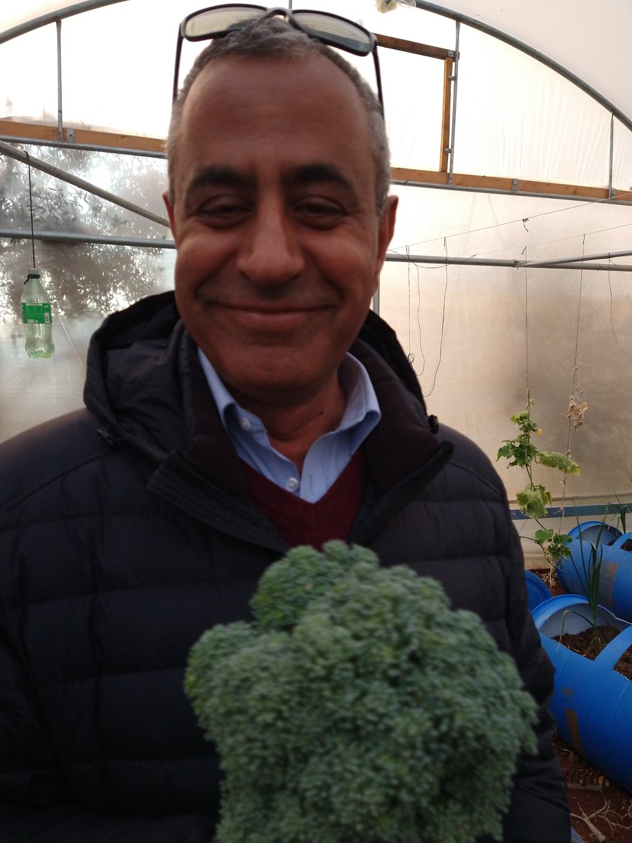 AneraOrg's tweet photo. Just now, from a new greenhouse we installed on the grounds of the primary we built in 2015 in Deir Qaddis. This is Anera's education guru in #Palestine @MleahatSulieman. Guess what he's having for dinner! https://t.co/iHNlA5QiNN