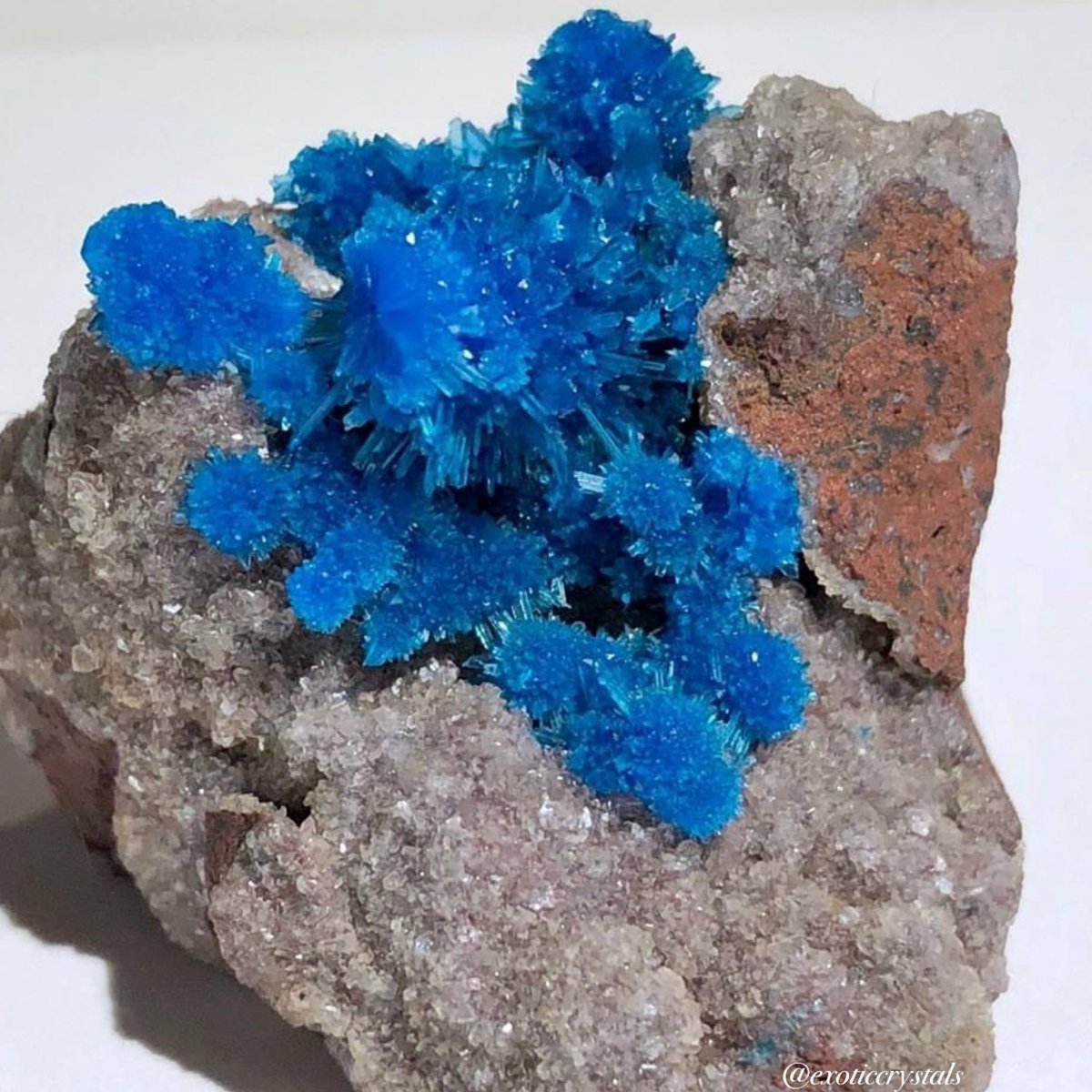 exoticcrystals's tweet photo. 💙Beautiful Pentagonite on micro Stilbite from Wagholi Mine, Maharashtra, India⚜️ #pentagonite #crystals #india https://t.co/7Ddj1Pg9Uj