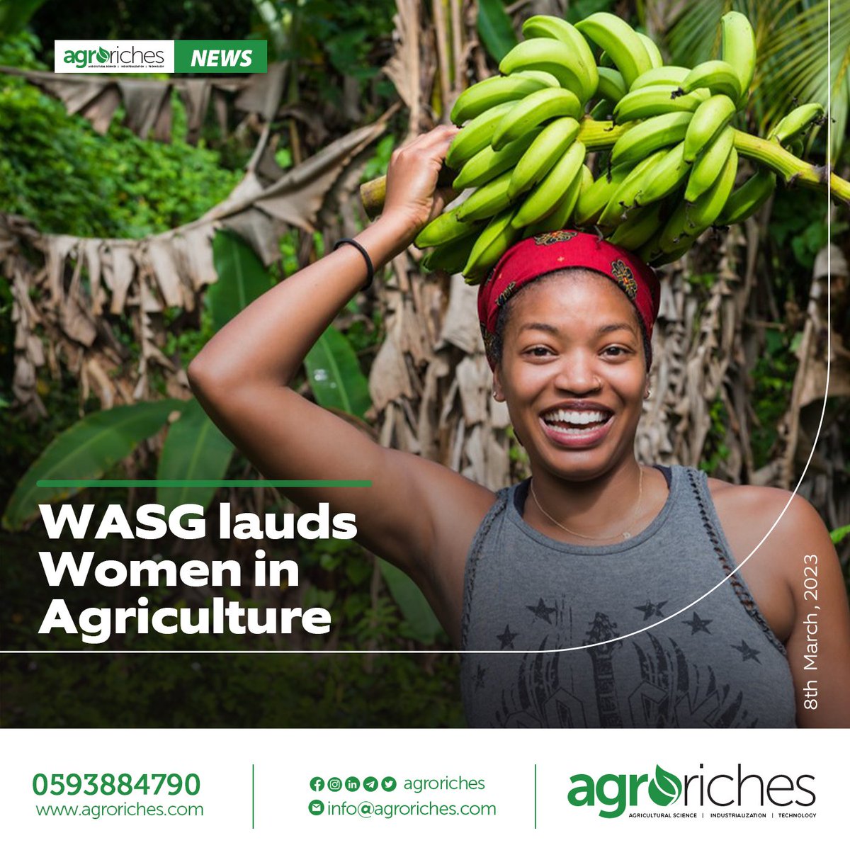 WASG laud women in agriculture.

visit our website agroriches.com to read more

#africa #market #industry #solution #agriculture
#agroriches #ghana #farm #world. #africa
#technology #projects  #largest #womeninagriculture