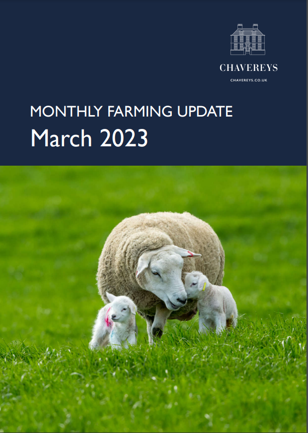 Chavereys tweet media