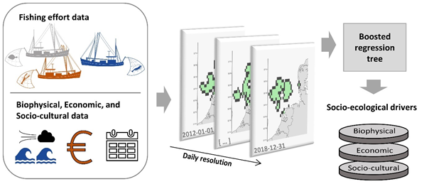 Understanding how biophysical, economic and socio-cultural drivers influence  #fishing effort is essential for ecosystem based management approaches. See a new paper let by @JonasLetschert doi.org/10.1016/j.ocec…
@SEAwiseproject @cmoelli