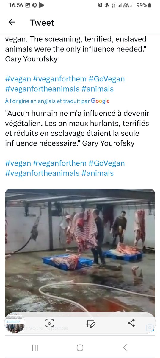 #vegan #veganforthem #GoVegan #veganfortheanimals #animals