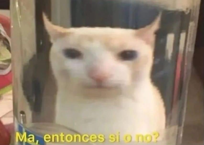 Yo después de que mi mamá me dijo como 30 veces que no: