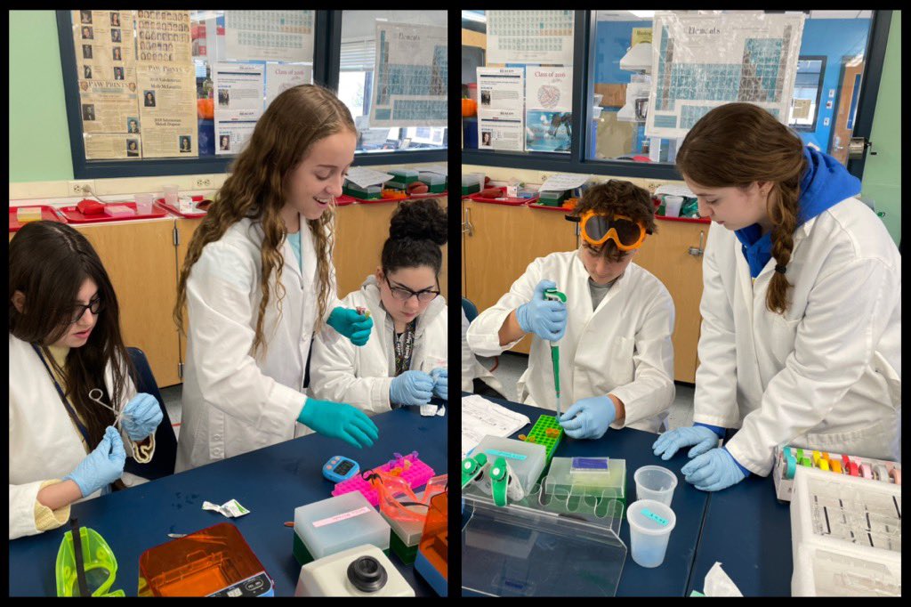 Dr. Debbie Langone (@deblangoneedu) on Twitter photo Udall Middle School Research students are visiting the high school Research students to conduct a DNA extraction lab, learn about the various research classes in high school, and listen to HS student presentations. <a href="/MaryKrollSci/">Mary Kroll</a> <a href="/WIHSLions/">West Islip HS</a> <a href="/HaldenwangMr/">Brian Haldenwang</a> <a href="/krishags/">kris</a> Udall Middle School Research students are visiting the high school Research students to conduct a DNA extraction lab, learn about the various research classes in high school, and listen to HS student presentations. <a href="/MaryKrollSci/">Mary Kroll</a> <a href="/WIHSLions/">West Islip HS</a> <a href="/HaldenwangMr/">Brian Haldenwang</a> <a href="/krishags/">kris</a>