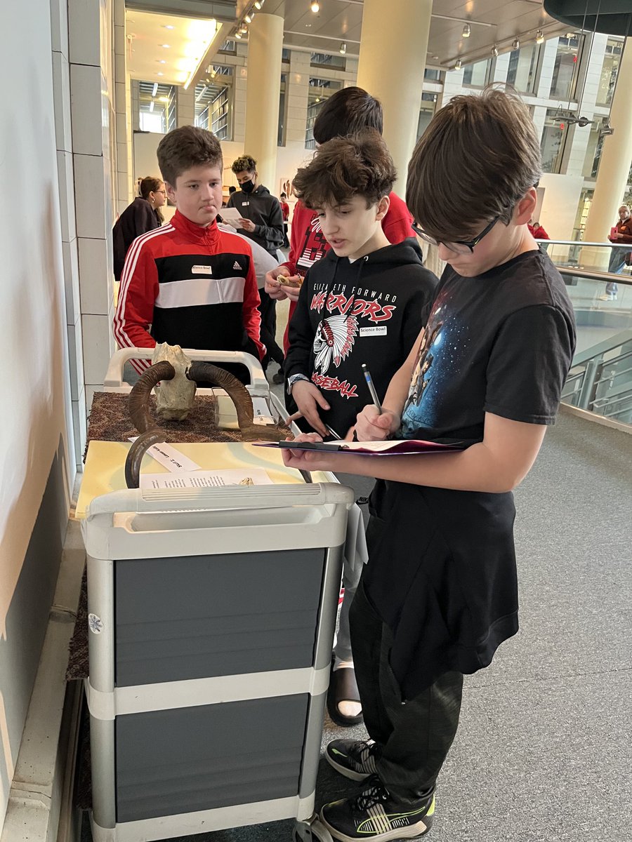 ⁦<a href="/EFMSWarriors/">Elizabeth Forward Middle School</a>⁩ ⁦<a href="/keithkonyk/">Keith Konyk</a>⁩ ⁦<a href="/mcperry705/">Mary Carole Perry, Ed.D.</a>⁩ EFMS Gate participating in the Science Bowl at the Carnegie Museum of Natural History. Step 3 identifying skulls nasal passages, orbit size, tooth shaping, eye placement, and auditory Bullae.