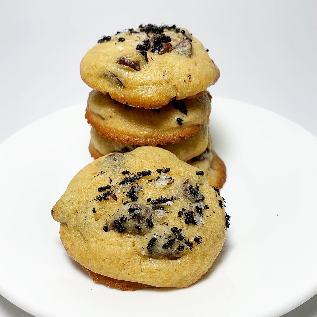 I personally like my chocolate chip cookies with a crispy bottom and a chewy center. Oh, and with black ants, cricket powder, and spicy grasshoppers.  How about you?