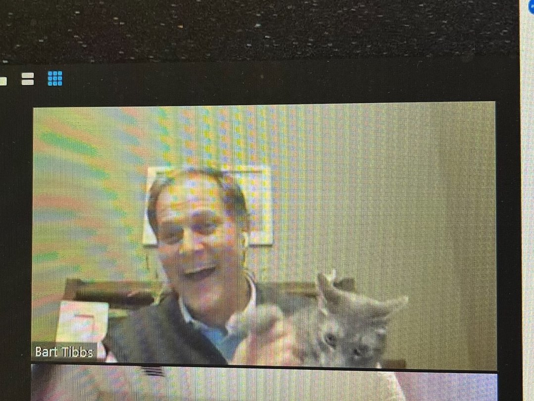 Had a meowy great time last night presenting financial aid transfer info to some cool cats and kittens. Shout out to our special guest for making it a purr-fect webinar! <a href="/mostateadm/">Missouri State University Admissions</a>