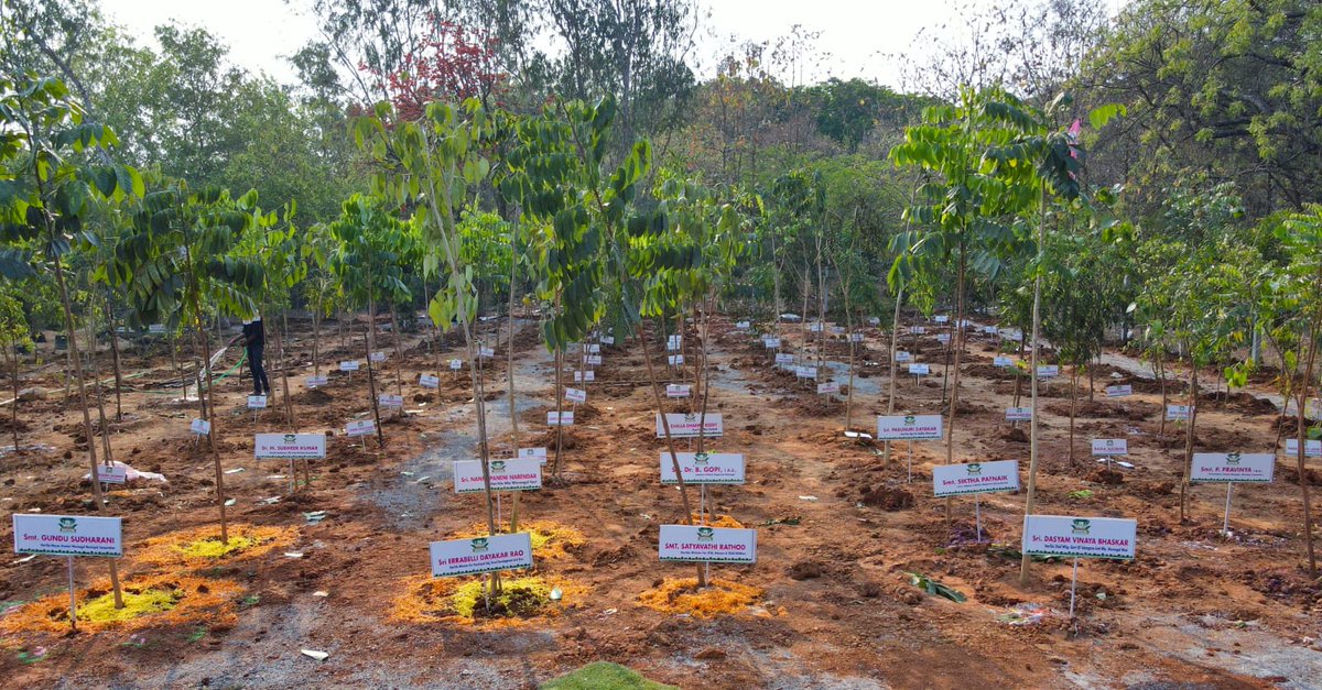 MC_GWMC's tweet photo. International Women's Day: Hon'ble Ministers, Public Representatives, Spl Secretary WDCW, Dist Collector, awardees & #TeamGWMC inaugurated Vanitha vanam with plantation of 650 tall plants, lawns & a mother-child mural at Kakatiya University.
#TKHH
@KTRBRS
@arvindkumar_ias https://t.co/BZksDeLirH