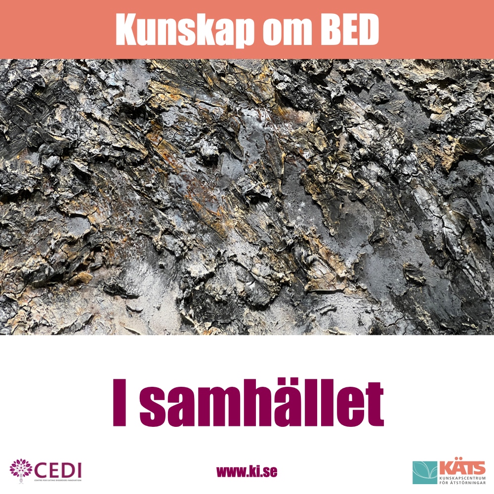 CEDI_KI photo