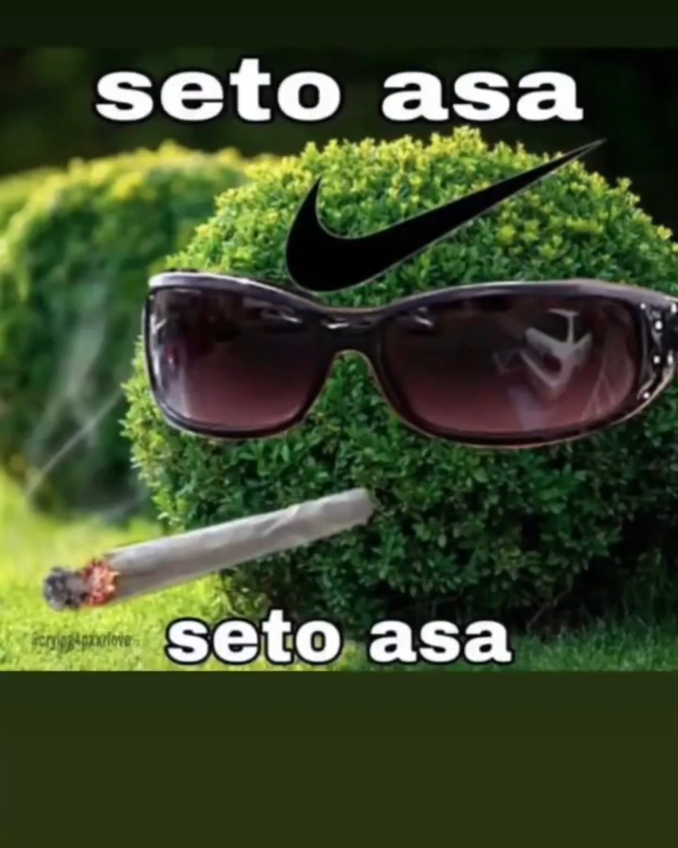 Seto asa