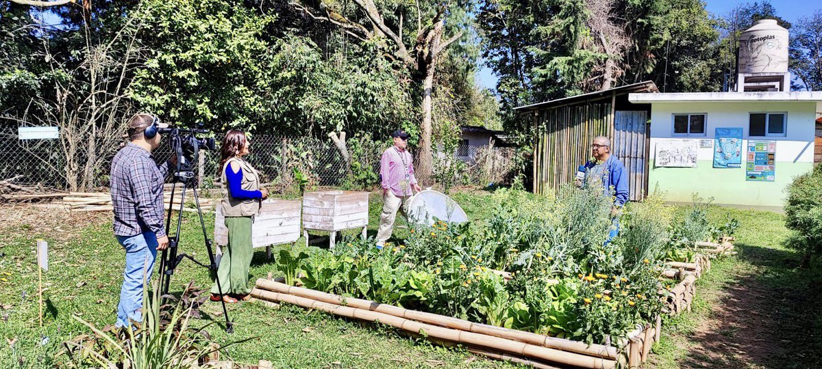 agropecuarioRTV's tweet photo. Grabando "Huertos Escolares", próximamente lo podrán ver en el programa….

#VeracruzAgropecuario #ProduceOrgullo https://t.co/OBb1w4llyu