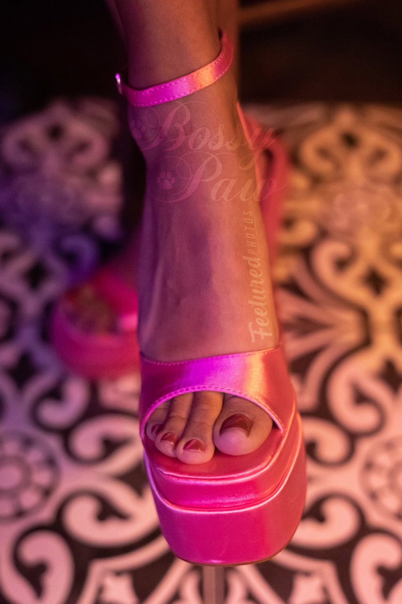 FeeturedPhotos tweet media