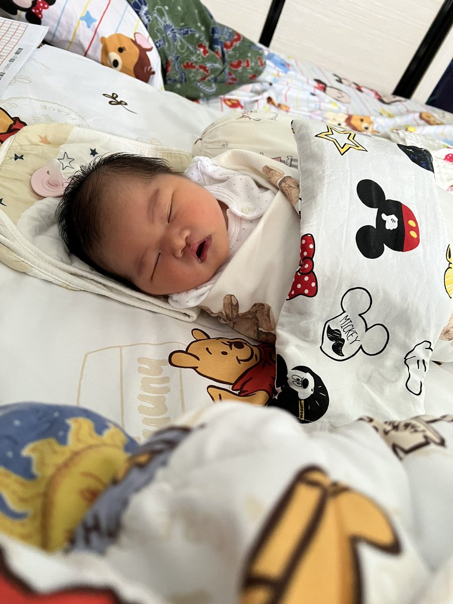 Gordonlek tweet media