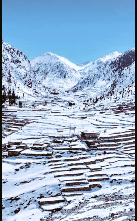 explorediamer's tweet photo. Babusar Valley in 7th march 2023 😍🌴❄️🎄 https://t.co/jSYthv9kzC