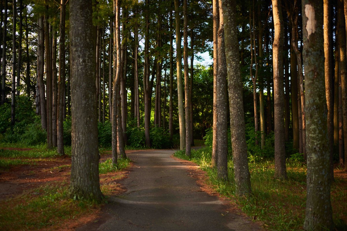 Do you know which Kaneff course this cart path is from? Let us know in the comments below!