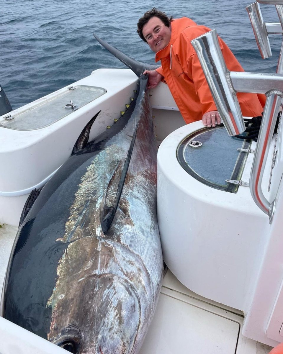 tunasinthebox's tweet photo. The little boat that could… that’s @jacky_dufour and his gang on his center console competing the with the big guys all Morehead City bluefin season long and making it known you don’t have to have a big boat to put together big catches 🙌🏼💪🏼⁣
.⁣
#angler #bluefintuna #fishing https://t.co/ubS9SQNPkP