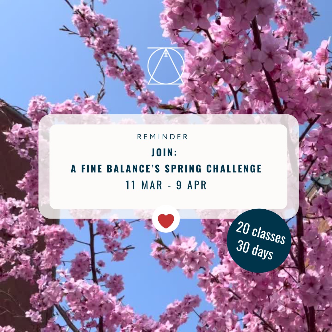 AFineBalance_'s tweet photo. Saturday = Spring Yoga Challenge + Yin Workshop - https://t.co/aK4JFo3ojb https://t.co/f55CdFww6a