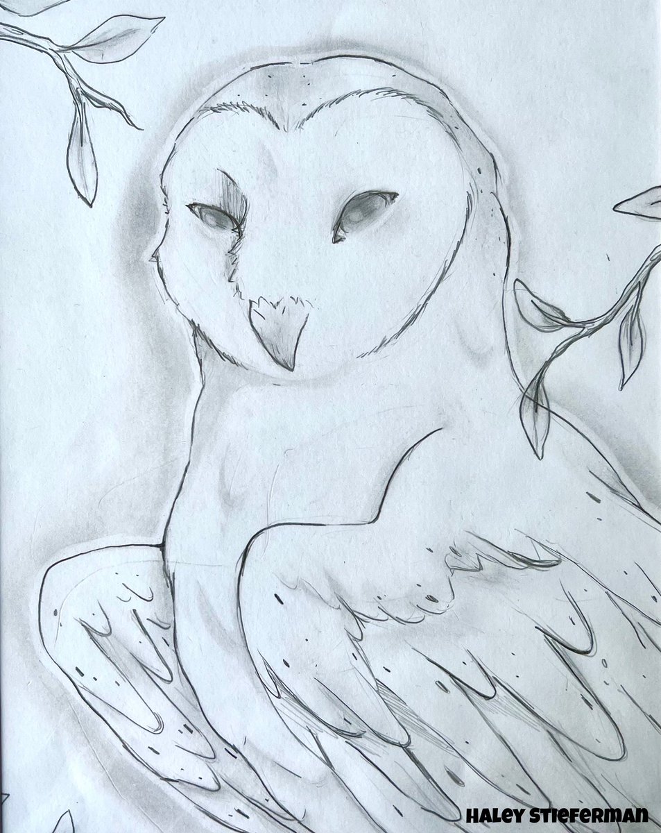 2023 Bird Dog Foundation
Art Contest Winners

2023 Bird Dog winners:

Foundation Art Contest:
7th Grade - 1st Place - Temperance Kelly
8th Grade - 2nd Place - Amanda Butner
8th Grade - Honorable Mention - Haley Stieferman