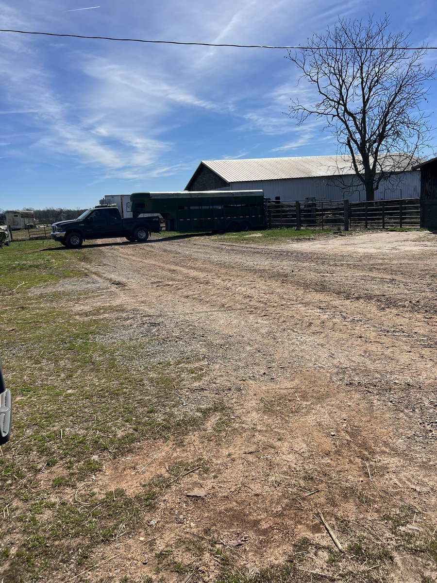 Peanut Coleman on Twitter "Wish we could load up a bull every day. Heading to do his thing"