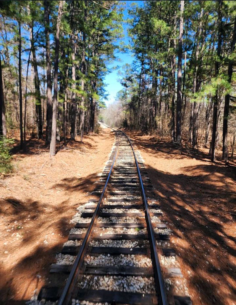Photo of the view from the caboose car while riding the Texas State Railroad out of Palestine, Texas. You can enjoy a 50-mile road trip adventure on vintage steam and diesel locomotives along the Piney Woods Route between Palestine and Rusk. @palestinetx

📸 by Jean Bradford