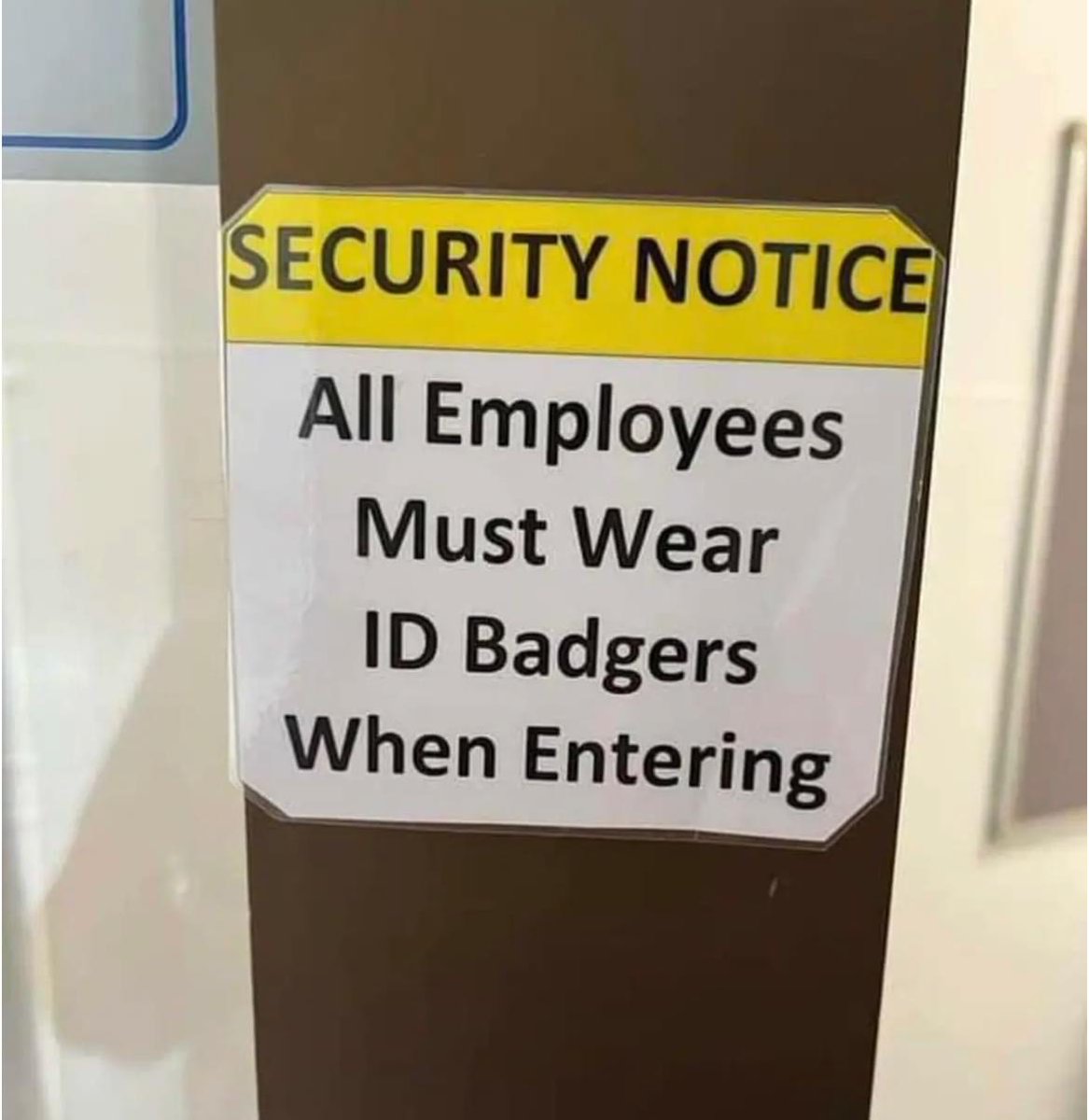 debemmitt's tweet photo. #WhoopsWednesday Show me your favourite editing mistakes that you’ve seen out and about, either in real life or on the interwebs. They’re all around us!

#ShouldHaveHiredAProofreader https://t.co/Si8QVJ3LcE