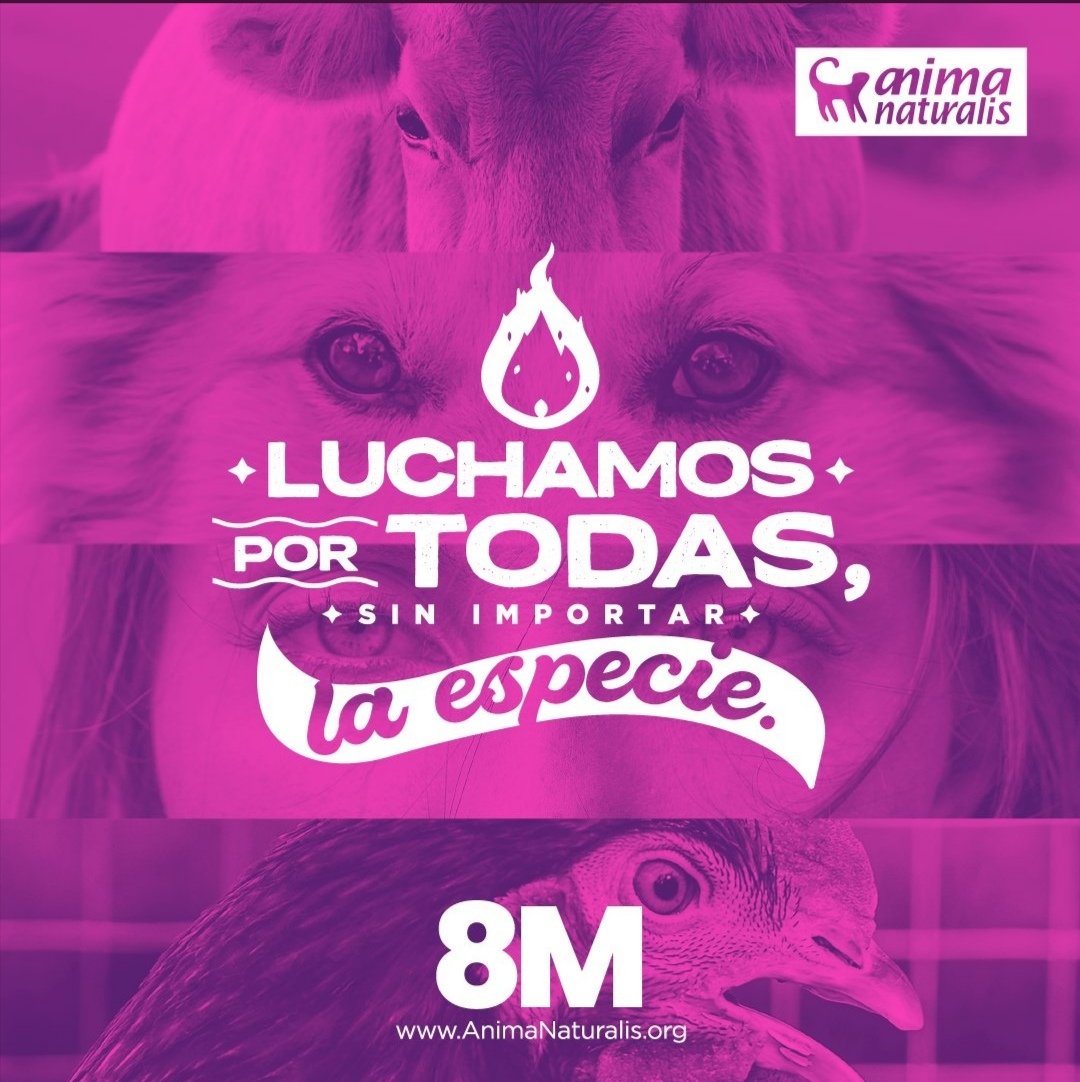 💜 #DiaInternacionalDeLaMujer

<a href="/AnimaNaturalis/">AnimaNaturalis</a> no sería lo que es sin la labor de tantas mujeres que luchan por los animales.

¡Seguimos luchando día a día!

Por un mundo sin opresiones ni discriminaciones. ¡Luchamos por todas, sin importar la especie!. 🐮✊🏽

#8marzo2023