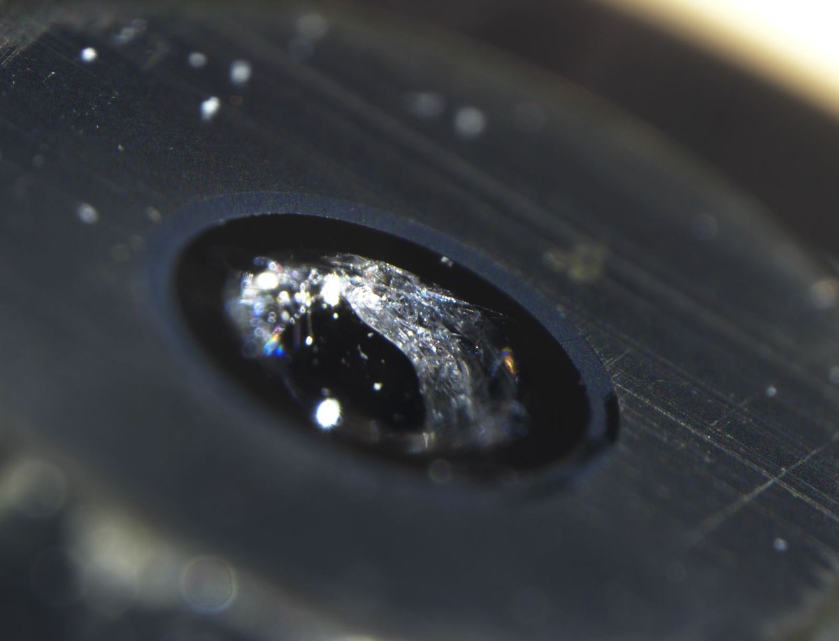 LorentzPascal's tweet photo. Guess how my day was today.
#microscopy https://t.co/0TIUHrkqVa
