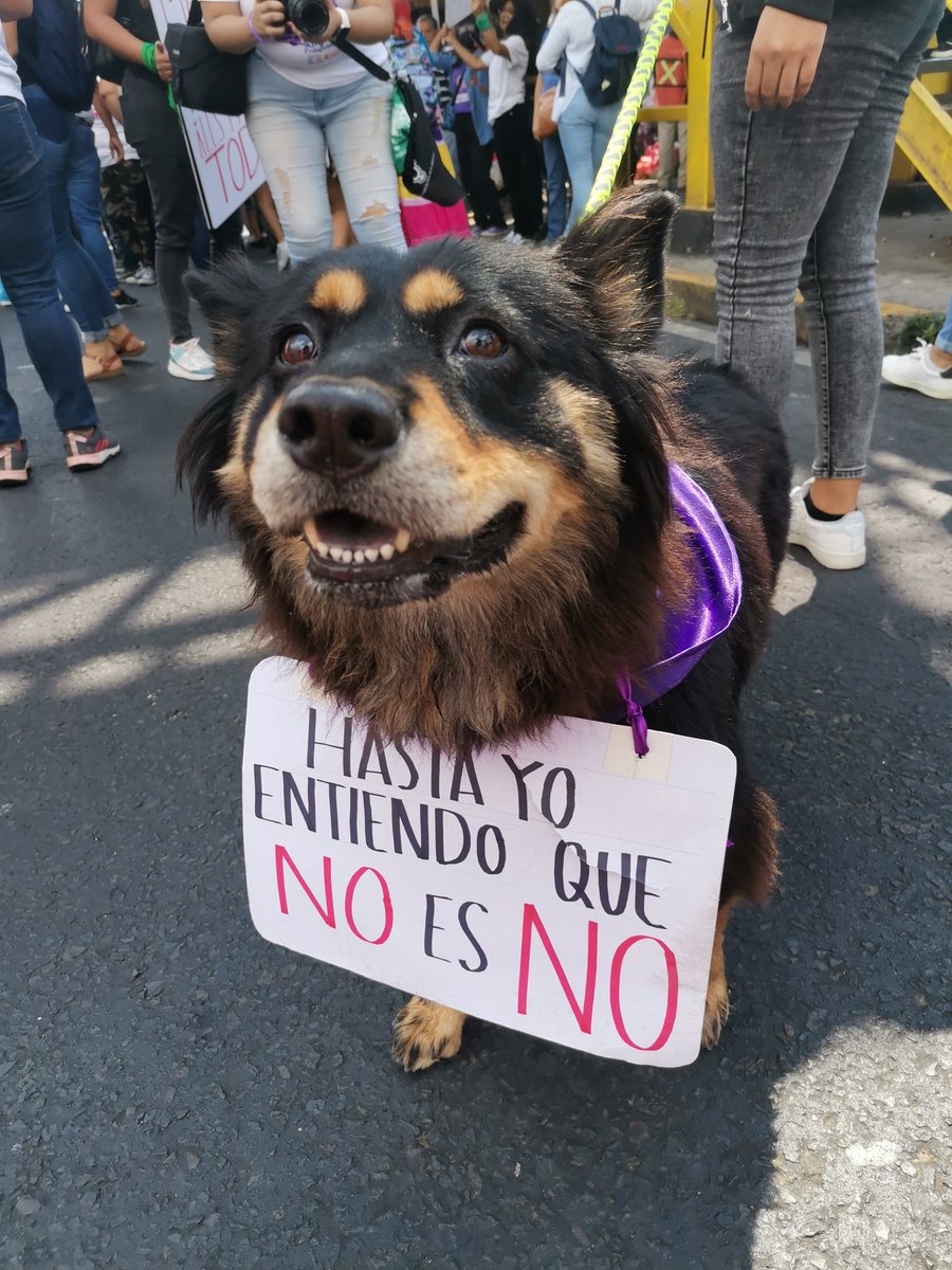Y para quienes todavía no han aprendido...
#8M2023