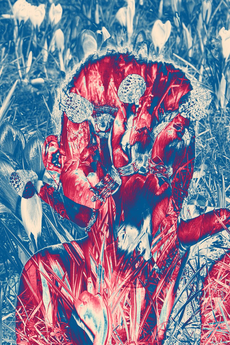 Happy International Women’s day to 2 women who inspire me an enormous amount and make me very happy. <a href="/bloomfieldh98/">Bloomfield Photo</a> <a href="/robyn_harvie/">robyn</a> #InternationalWomensDay #EdNapPhoto