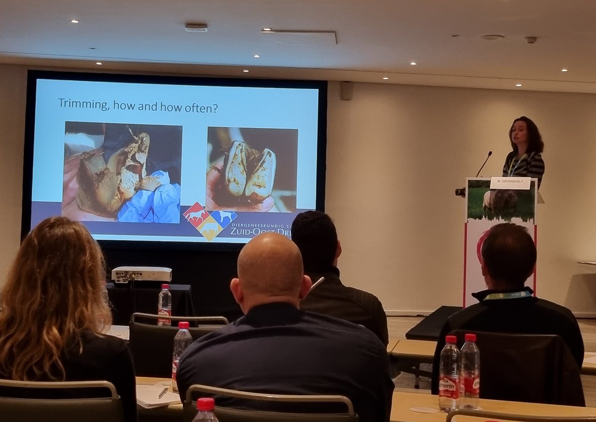 PhillipaFarmVet's tweet photo. Excellent content again at #ISVC2023 @SEOCSpain with Margit talking dairy goat lameness 'given the opportunity to wear, we don't need to trim' & also an excellent talk on pain management & triage of sheep during wildfires- full respect to colleagues making these decisions 😢. https://t.co/T45YjWKr2v