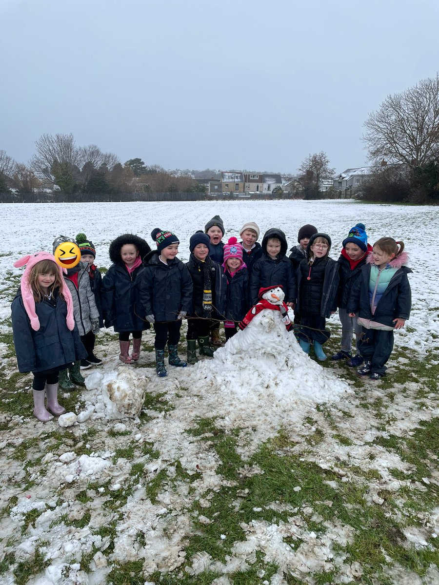 treuchafprimary tweet media