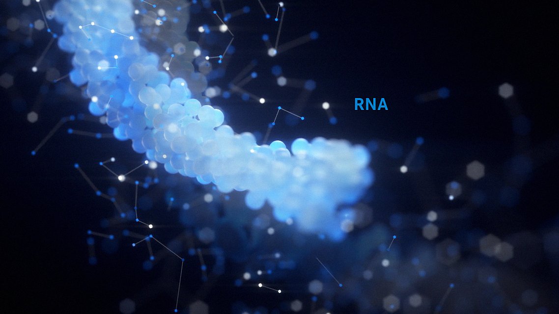 Hello Twitter! We are @SCC_Wurzburg. Our goal is to analyze & understand diseases at the #singlecell level. To do so, we combine scientific, clinical & methodological expertise in #Würzburg: single-cell-center.de @Uni_WUE @Uniklinikum_Wue @Fraunhofer_ISC @Wue_SI @Helmholtz_HIRI