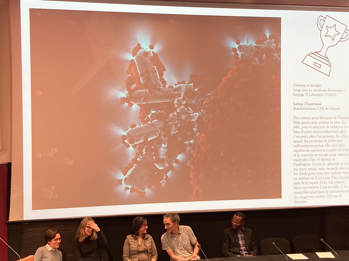 Team IMM tweet media