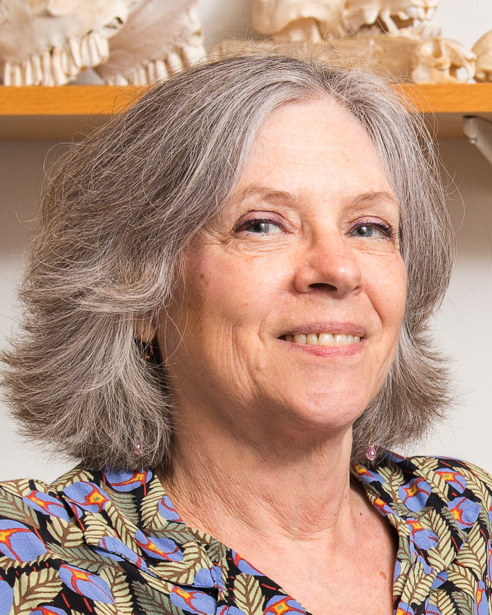 On International <a href="/womensday/">Women's Day</a>, special thanks to 3 courageous &amp; talented researchers who are defying PETA's bullying and misogyny to engage in vital biomedical research: Dr. Agnès Lacreuse (UMass-Amherst); Dr. Christine Lattin (LSU); and Dr. Margaret Livingstone (Harvard Med.)