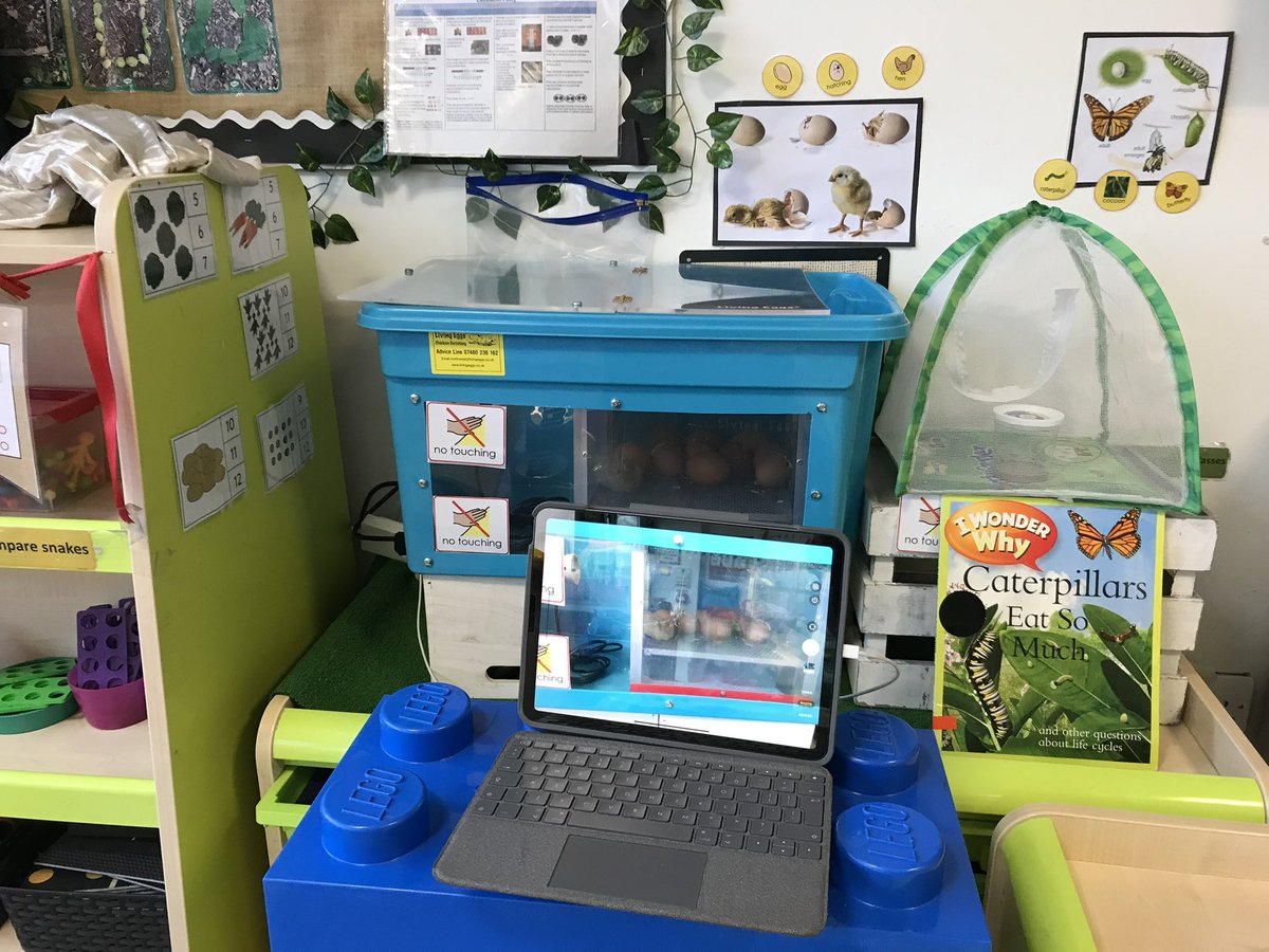 Miss_M_Patel's tweet photo. Love how we have used technology to capture these magical moments @OliveTreeBolton Chick No3 has now joined us! So much excitement and so much more to see #reallife #livingeggs #understandingworld @EYTagteam https://t.co/YmWdvJ1gK3