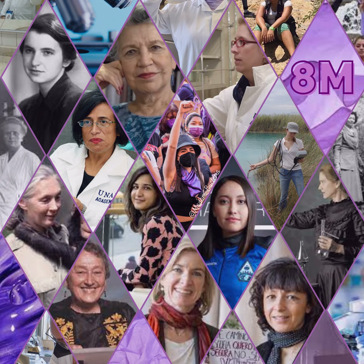 Madam_Bacteria's tweet photo. No existe una ciencia sin nosotrAs 💜 
#ciencia #science #8M #women #mujer #Diadelamujer #feminismo https://t.co/j50AgxwqQ5