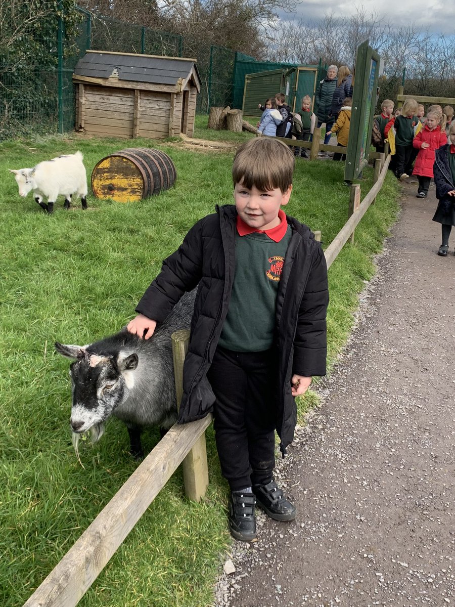 MorfaRhianedd's tweet photo. Diwrnod gwych @PiliPalasNW ddoe. Diolch i Jennifer am ein tywys mor hwyliog. Profiadau bythgofiadwy i blant y Dosb Meithrin. 
An excellent day @PiliPalasNW yesterday. Thanks to Jennifer, our fun and informative guide for giving the children memorable experiences. https://t.co/ocZsAogI1e