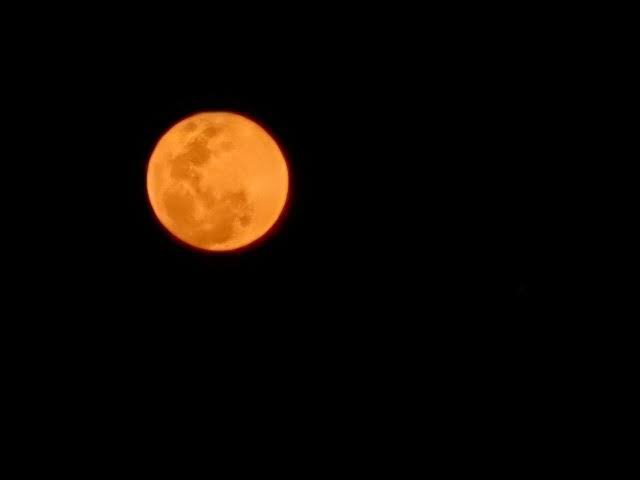 XasSwn's tweet photo. คืนนี้พระจันทร์สวยดีนะ🥹 https://t.co/mLTjkgvdGC